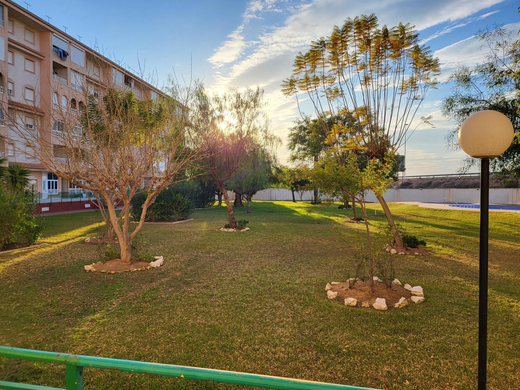 Skyline 21 Lägenhet Torrevieja Exteriör bild
